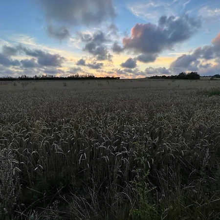 Holiday home Luxury Retreat With Pool - By Traum Henne Strand