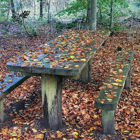 Luxury Retreat With Pool - By Traum Henne Strand