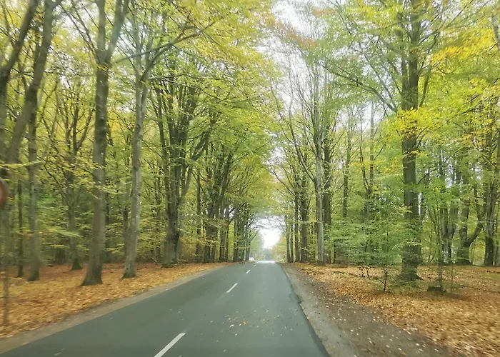 Luxury Retreat With Pool - By Traum * Henne Strand