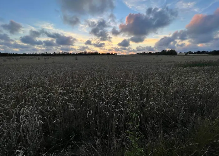 Nyaraló Luxury Retreat With Pool - By Traum Henne Strand