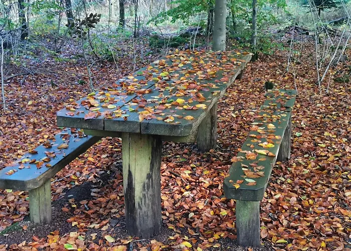 Luxury Retreat With Pool - By Traum Henne Strand